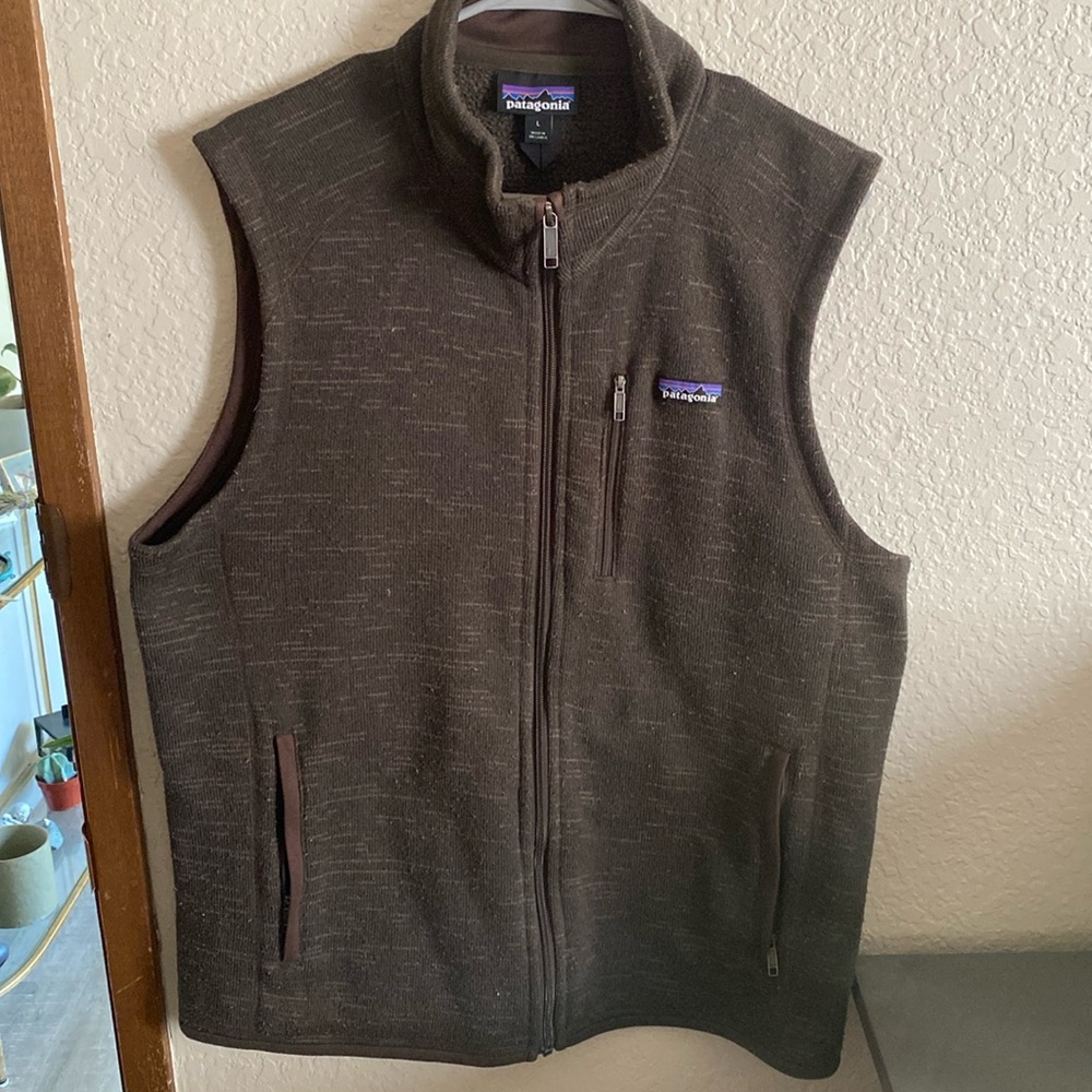 Patagonia vest